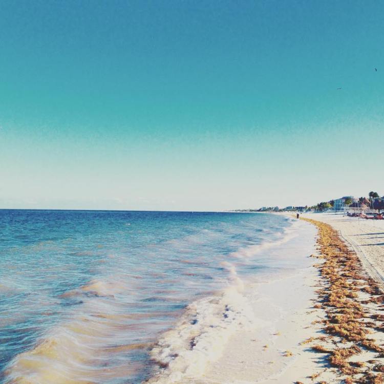 11334299_10153208837005379_1376552411_n