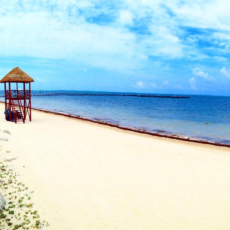 11350369_10153208837055379_516689426_n