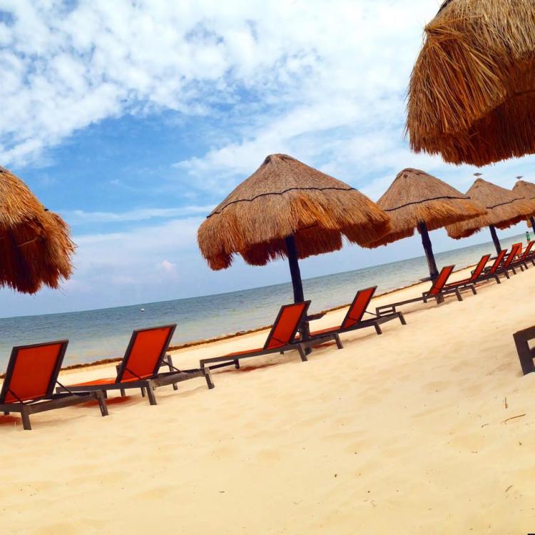 11414771_10153208837060379_1969849766_n