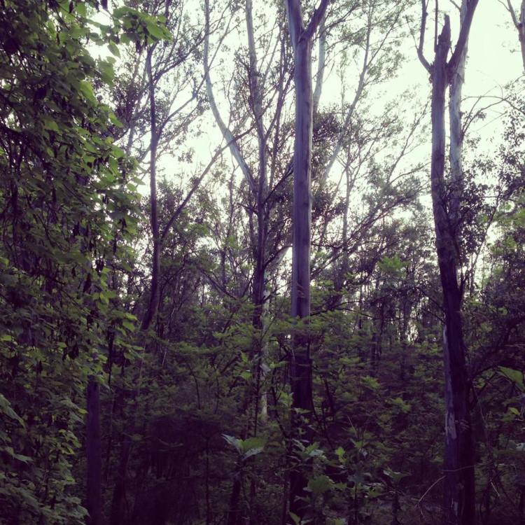 11709820_10153267301365379_3800676791048161278_n