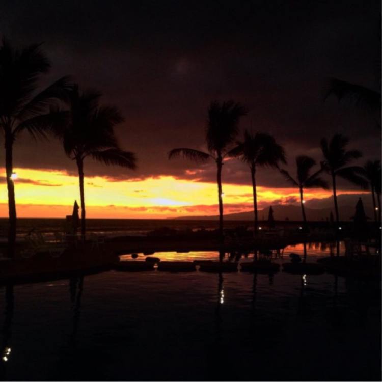 11950810_10153410010980379_195749422_n