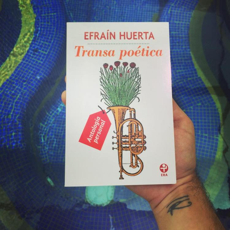 11996980_10153411510485379_493063030_n