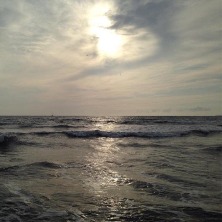 11998599_10153410010230379_1244154596_n