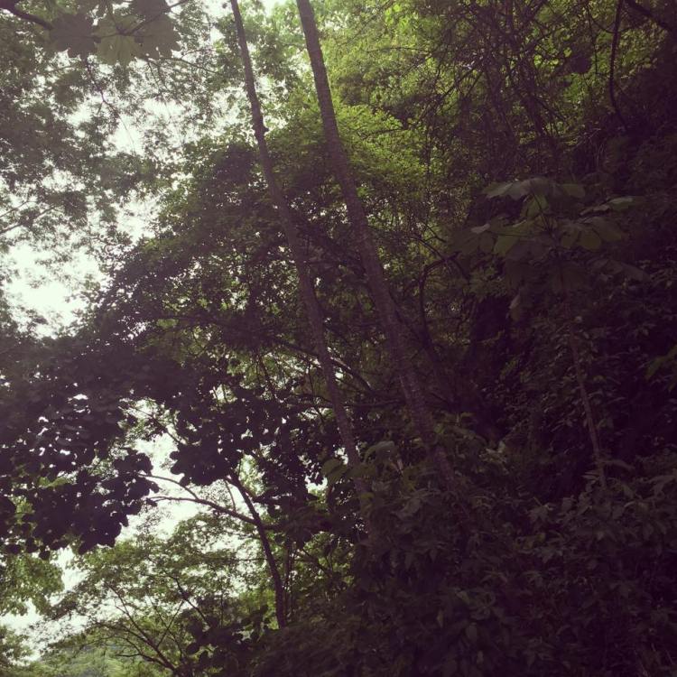 11998780_10153411566480379_1013128499_n