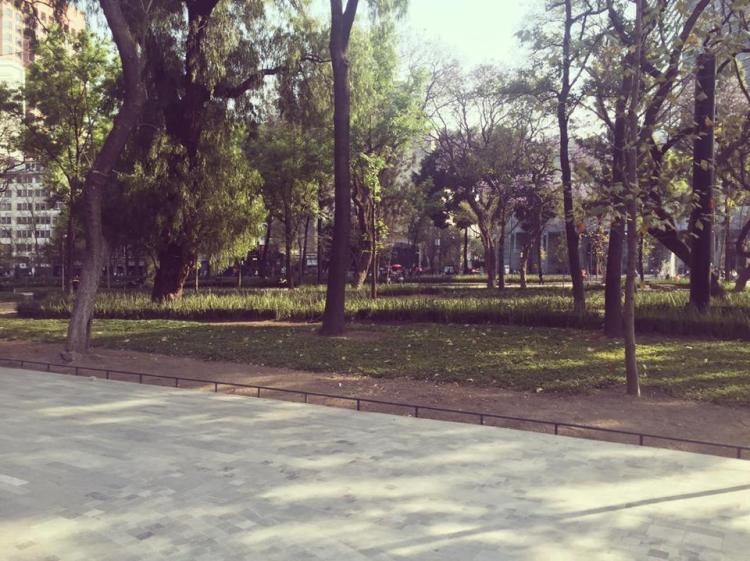 12721897_10153801236975379_482982945_n