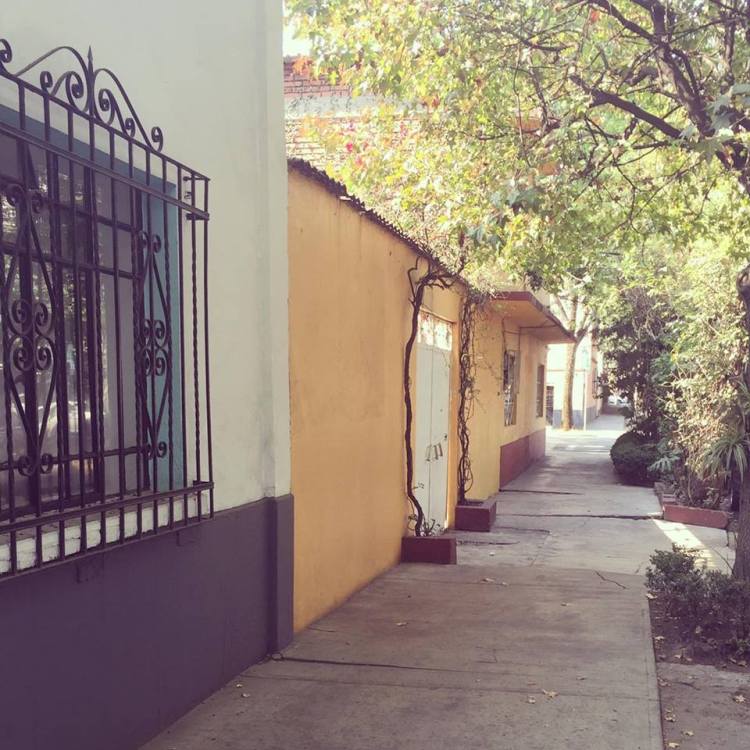 10156906_10153729235965379_2043232727_n