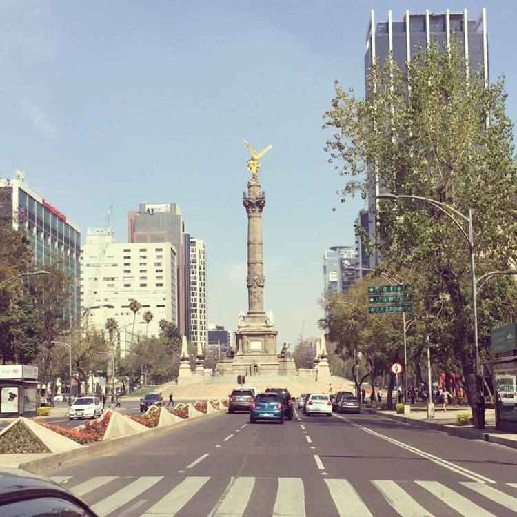 12767550_10153729233170379_592858217_n