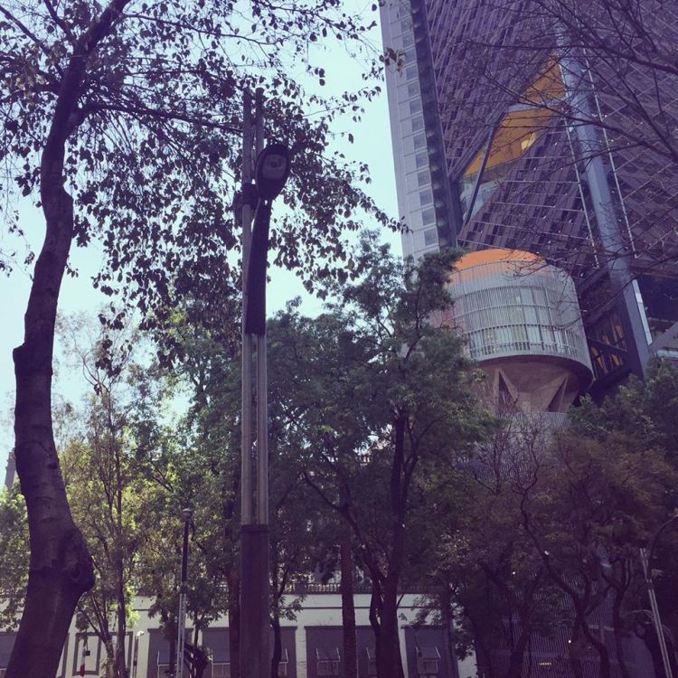 12767586_10153729231530379_2058107917_n