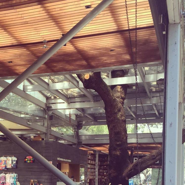 12767652_10153729236520379_127051006_n