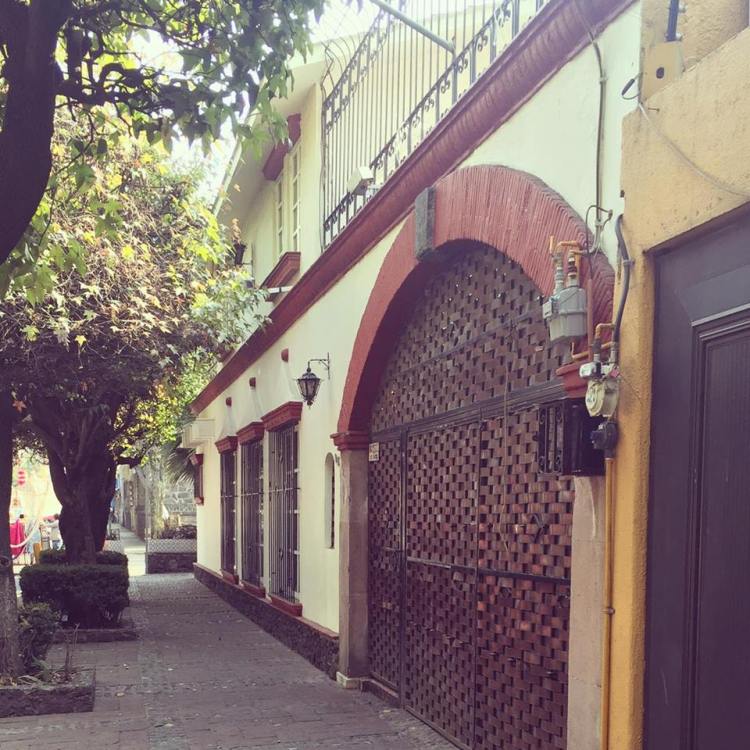 12784602_10153729235990379_1082057301_n