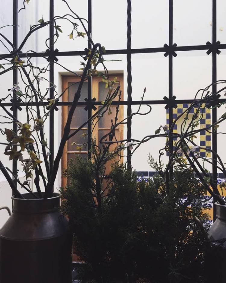 12325260_10153801277995379_11795957_n