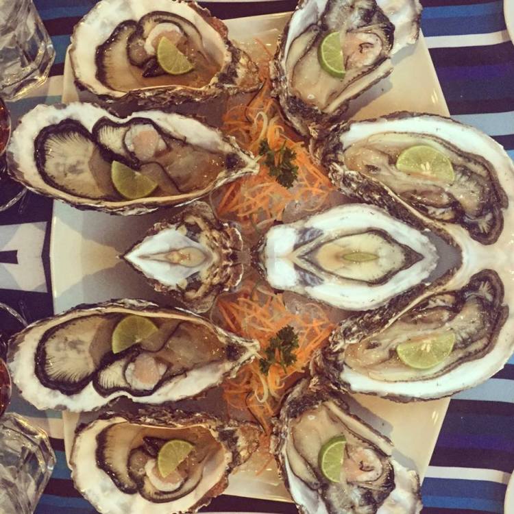 12380248_10153801263740379_1364890581_n