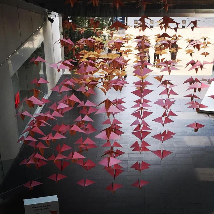 12421726_10153801277485379_1449326276_n