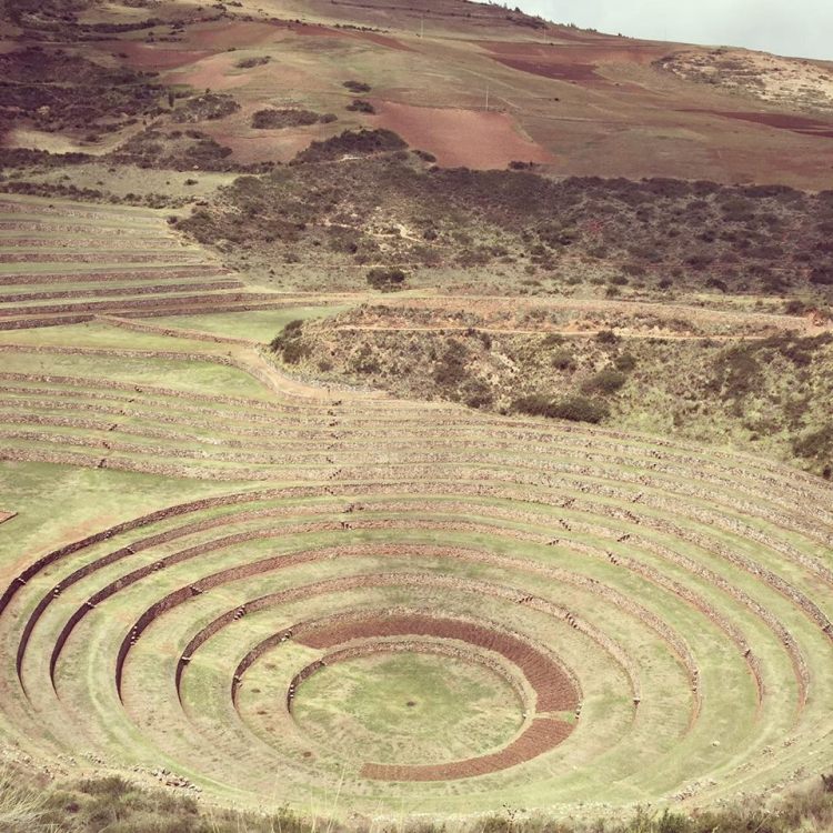 12476540_10153790556855379_1263421032_n