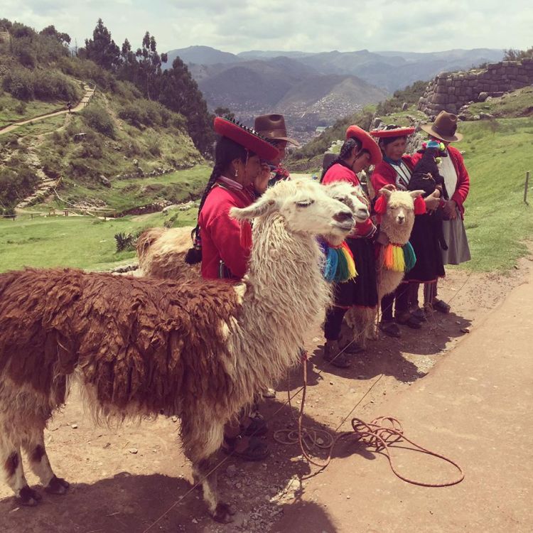 12498750_10153790556785379_1594886541_n