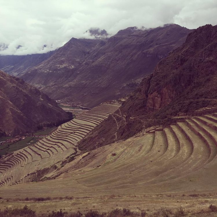 12527841_10153790623445379_983314487_n