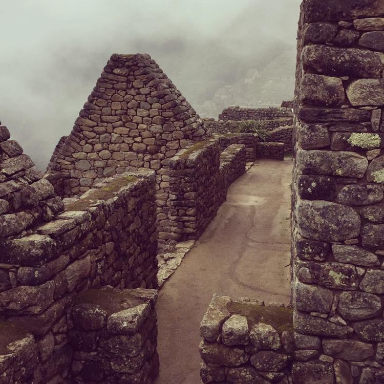 12721999_10153790627515379_1823041089_n