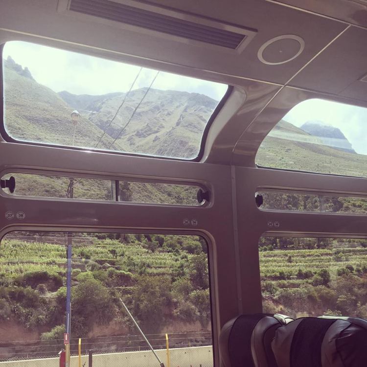 12825637_10153790627175379_700746949_n