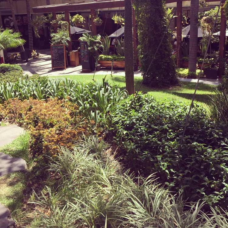 12899862_10153801243635379_129879126_n