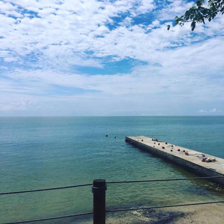 15319432_10154477711685379_597852055_n