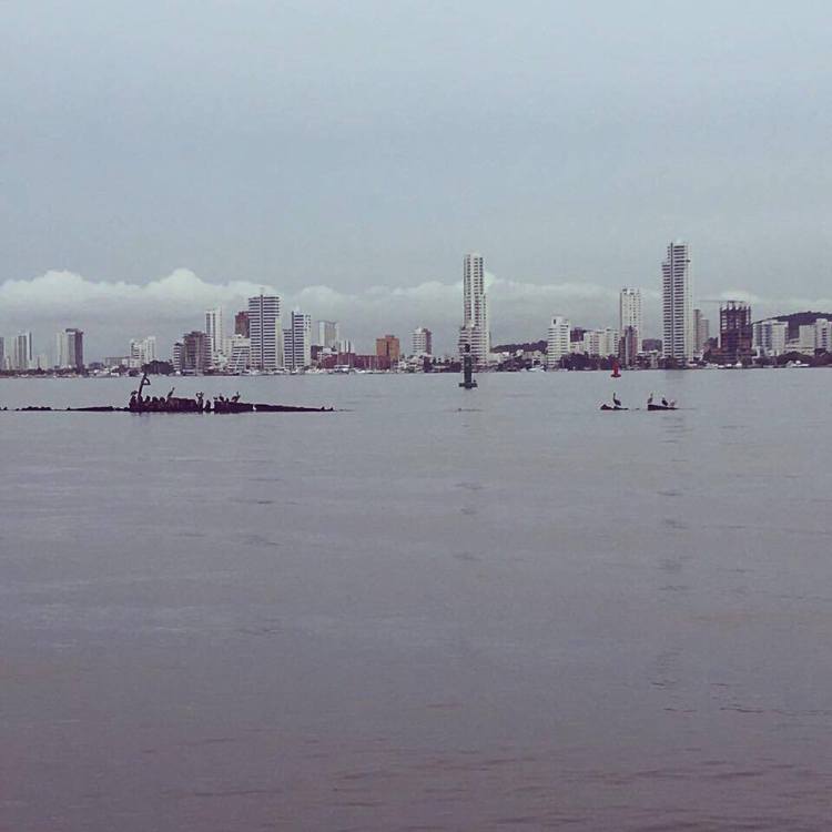 15320350_10154477711495379_65649080_n