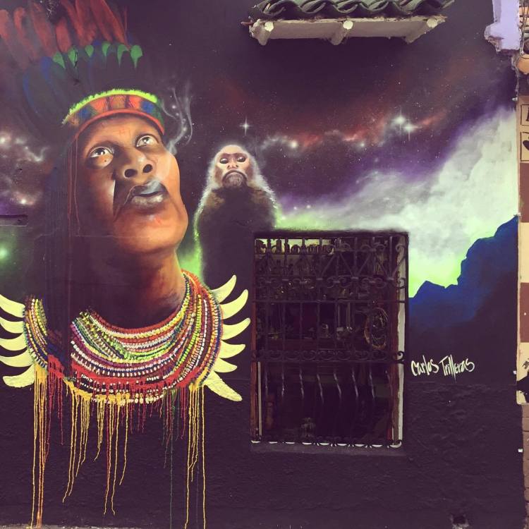 15388661_10154477704920379_19172632_o